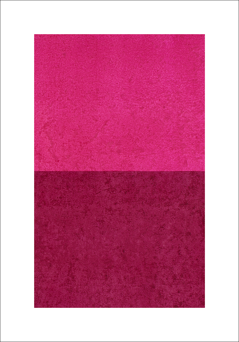 Fieri, V.: Monochrome (Red), 2011