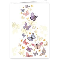 Schmetterlinge (o.T.)