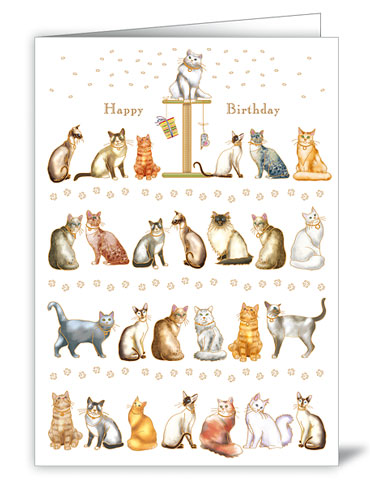 Cats - Happy Birthday
