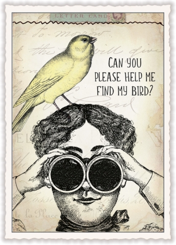 "Can you please help me find my bird?" (Hoch)