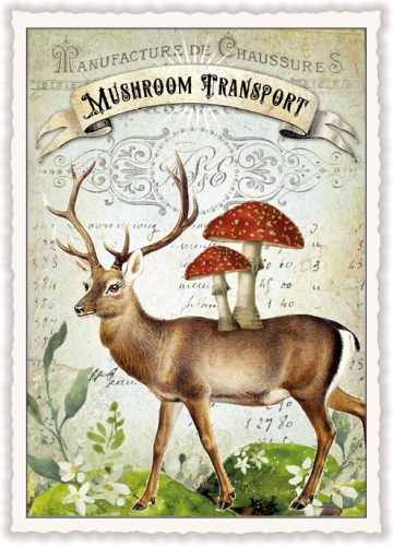 "Mushroom Transport" (o.T.) (Hoch)