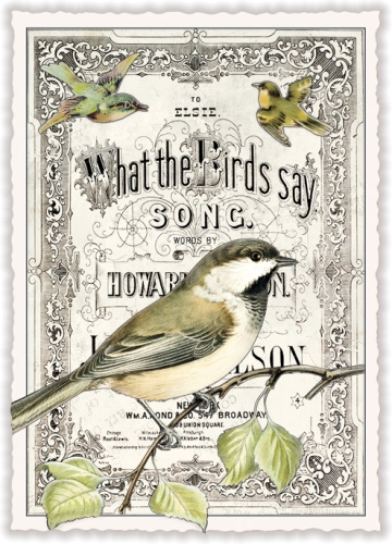 "What the Birds say ..." (o.T.) (Hoch)