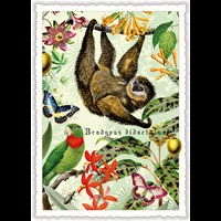 Wildlife-Edition, Faultier - Sloth - Paresseux (Hoch)