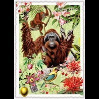 Wildlife-Edition, Orang-Utan - Orangutan - Orang-Outan (Hoch)