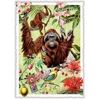 Wildlife-Edition, Orang-Utan - Orangutan - Orang-Outan (Hoch)