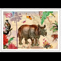 Wildlife-Edition, Sumatra Nashorn - Rhino - Rhinocéros (Quer)