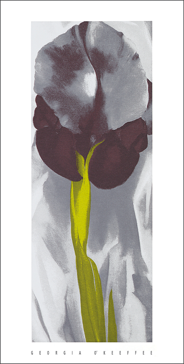 O'Keeffe, G.: Dark Iris I ZG