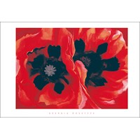 O'Keeffe, G.: Oriental poppies