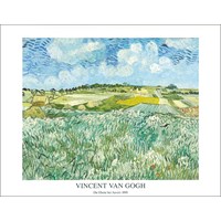 van Gogh, V.: Die Ebene bei Auverss