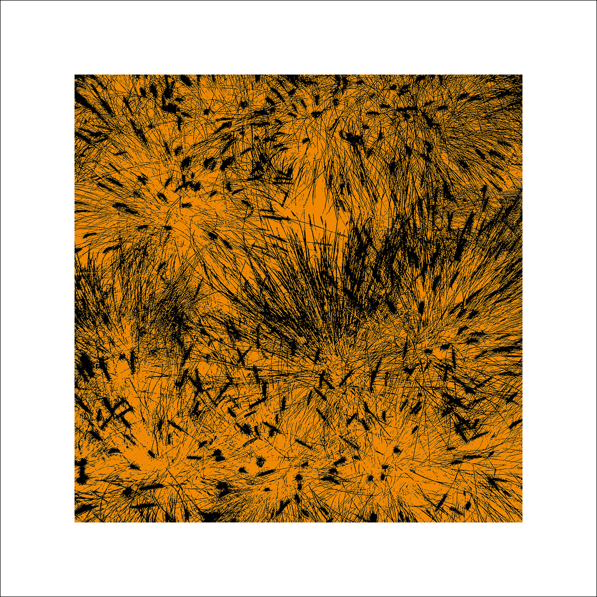 Polla, D.: Grass (orange), 2011 ZG