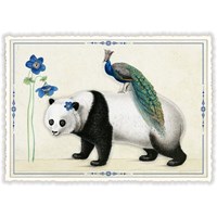 Best Buddies-Edition, Panda & Pfau (o.T.) (Quer)