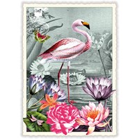 Flamingo (o. T.) 